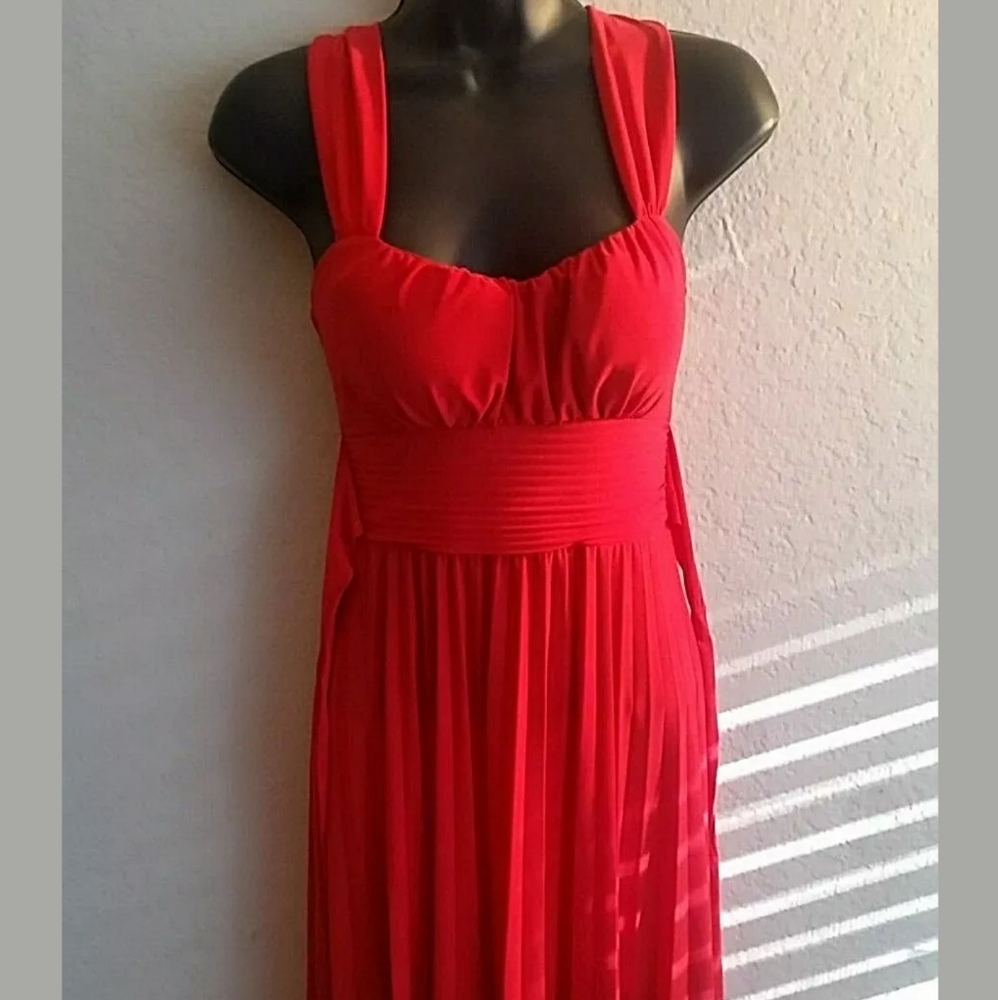 Red Pleated Petite Matri Dress Back Ribbon